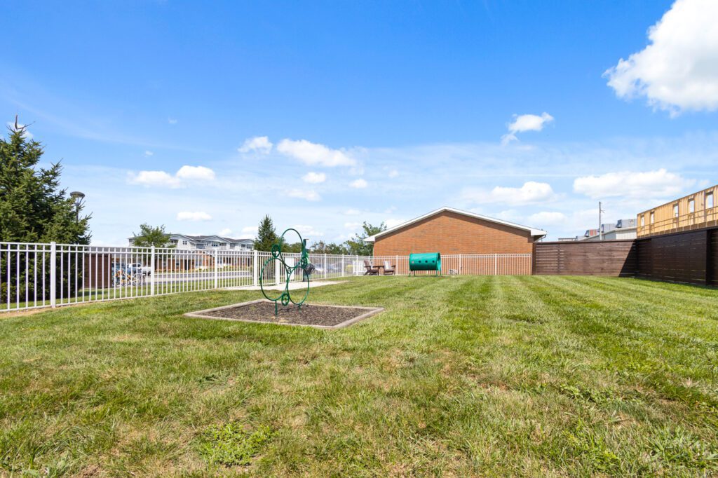 Large grass area for dogs to play in Bark Park